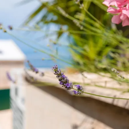 Villa Unique Galerija Sutivan, Brac -pool & Sauna